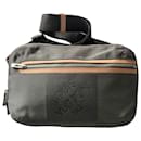 Louis Vuitton giant damier canvas belt bag