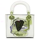 Dior Niki De Saint Phalle Mini Calfskin Dioramour Lady Dior