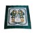 Hermès sciarpe Verde Seta  ref.6143