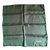 Hermès Scarves Green Silk  ref.6690