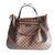 Evora Louis Vuitton Handbags Brown Leather  ref.9513