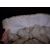 inconnue Coats, Outerwear - view 8