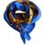 Salvatore Ferragamo Sciarpe di seta Blu