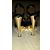 Carvela Heels Design von Kurt Geiger Schwarz - Ansicht 5