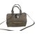 Longchamp Gatsby Taupe Leather  ref.24016