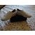 Comptoir Des Cotonniers scarpe da ginnastica - vista 7
