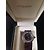 Chaumet Class One Uhr Rosa Saphir und Diamanten Stahl Pflaume - Ansicht 6