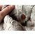 Botas Ugg Special Edition de piel beige - vista 5
