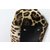 Dolce & Gabbana borsetta Stampa leopardo - vista 16