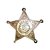 Chanel Sheriff estrella de paris de dallas Dorado Acero  ref.36896
