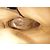 Free Lance Wildleder Stiefeletten Sand Farbe Beige Größe 39 - Ansicht 8