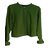 Agnès b. Knitwear Green Cotton  ref.43797