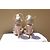 Sandali Salvatore Ferragamo in pelle beige e oro D'oro - vista 5
