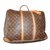 Louis Vuitton Travel bag Multiple colors Synthetic  ref.47032