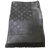 Louis Vuitton xaile Cinza antracite Seda  ref.59677
