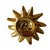 Autre Marque Pins & brooches Golden Metal  ref.49670