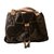Louis Vuitton Irene Hobo Bag Brown  ref.58871