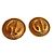 Guy Laroche Aretes