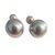 Dior Earrings Grey  ref.82370