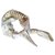 Hermès Sciarpe di seta Multicolore  ref.83462