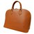 Louis Vuitton ALMA Brown Leather  ref.103913