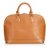 Louis Vuitton Epi Alma PM Brown Light brown Leather  ref.108254