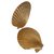Yves Saint Laurent SHELL CLIPS Golden Vergoldet  ref.111854