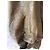 Jerome Dreyfuss Carlos - view 5