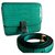 Céline CELINE BOX CLASSIC CROCODILE Green Exotic leather  ref.120990