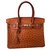 Hermès Birkin 30 Brown Light brown Caramel Leather Exotic leather  ref.122309