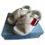 Prada Sandalen für Schafe Aus weiß  ref.127134