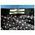 Scotch and Soda Falda larga - vista 10