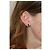 Guy Laroche Aretes - vista 8