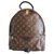 Louis Vuitton Palm Springs Monogram MM Brown Cloth  ref.136558