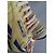 Reebok MODELE MIXTE (EDITION LIMITEE) - vue 2