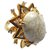 Lele Sadoughi argolas Dourado Cru Metal  ref.141511