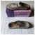 Birkenstock BOSTON LEOPARDO Stampa leopardo - vista 15