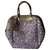 Louis Vuitton Bolsos de mano Gris Púrpura Cuero  ref.157839