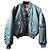 Schott Classic flying jacket