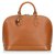 Louis Vuitton Brown Epi Alma PM Leather  ref.166504