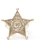 Chanel PARIS DALLAS SHERIF T52 Dourado Metal  ref.173362