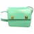 Céline Handbags Light green Leather  ref.176141