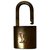Louis Vuitton Acessórios Dourado Metal  ref.174280