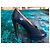 Robert Clergerie Pompe con tacchi alti Blu navy - vista 2