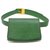 Louis Vuitton Pochette Green Leather  ref.191995