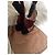 Botines Gianvito Rossi Negro Rosa Burdeos - vista 16