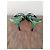 Dolce & Gabbana Mules - view 4