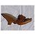 Mules Sergio Rossi in pelle marrone con tacco curvo - vista 3
