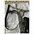 Diane Von Furstenberg Mini bag DvF Crossbody Stampa leopardo - vista 7