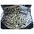 Longchamp Borsa Lonchamp modello Gatsby - vista 6